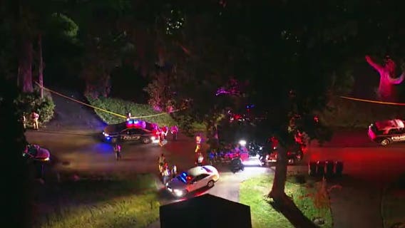 Man charged officers swinging bottle before deadly police-involved shooting in McLean