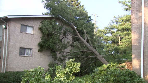 Cleanup continues after intense storms batter parts of DC region