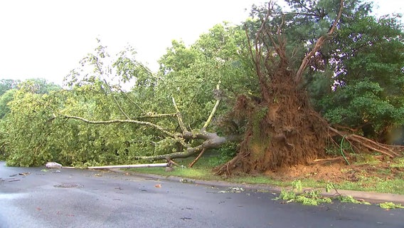 Cleanup in Bowie continues after tornado damages homes, brings down trees and power lines