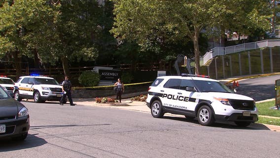 Alexandria shooting leaves 2 people dead: police