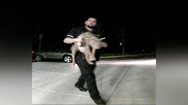 Police searching for man accused of animal cruelty in Manassas