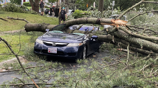 Fallen trees causing chaos, delays across the DMV area