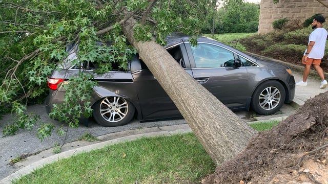 Greenbelt residents picking up the pieces from storm damage