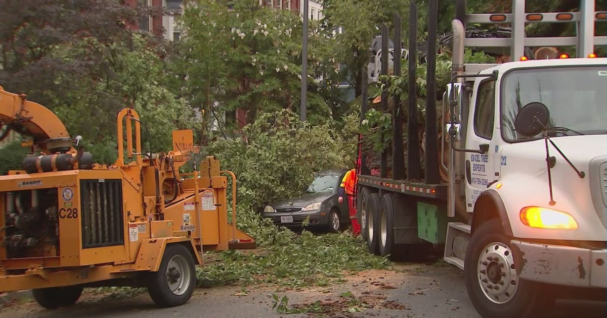 Cleanup continues across DC region following heavy storms | FOX 5 DC