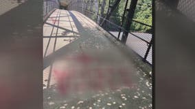 Antisemitic graffiti found on Bethesda Trolley Trail in Montgomery County