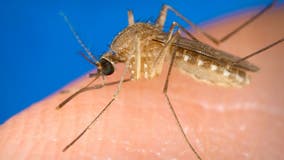 First case of West Nile virus reported in Maryland