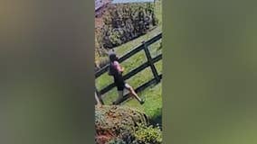 Fairfax Co. Police look for suspect in string of assaults, exposures on W&OD Trail
