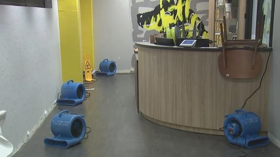 Doggy daycare District Dogs among several businesses flooded in Northeast