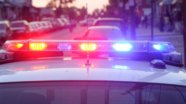 DC police investigating after dog reportedly stolen from owner's backyard