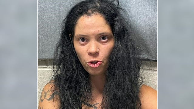 Police called multiple times to home where woman allegedly struck, killed boyfriend with car: court documents