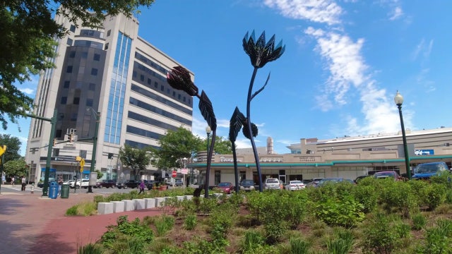 FOX 5 Zip Trip Silver Spring: 5 Must Stops!