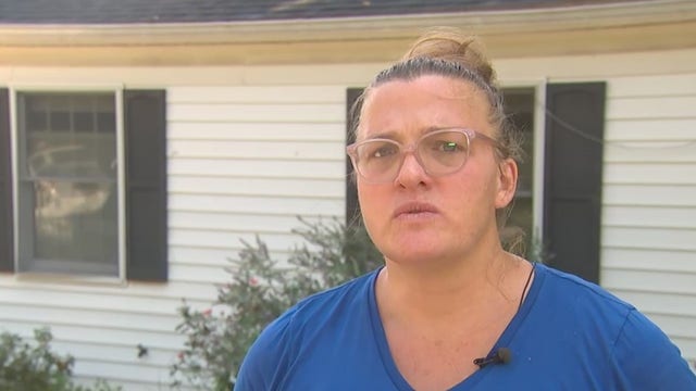Thieves steal DC woman's car and dog
