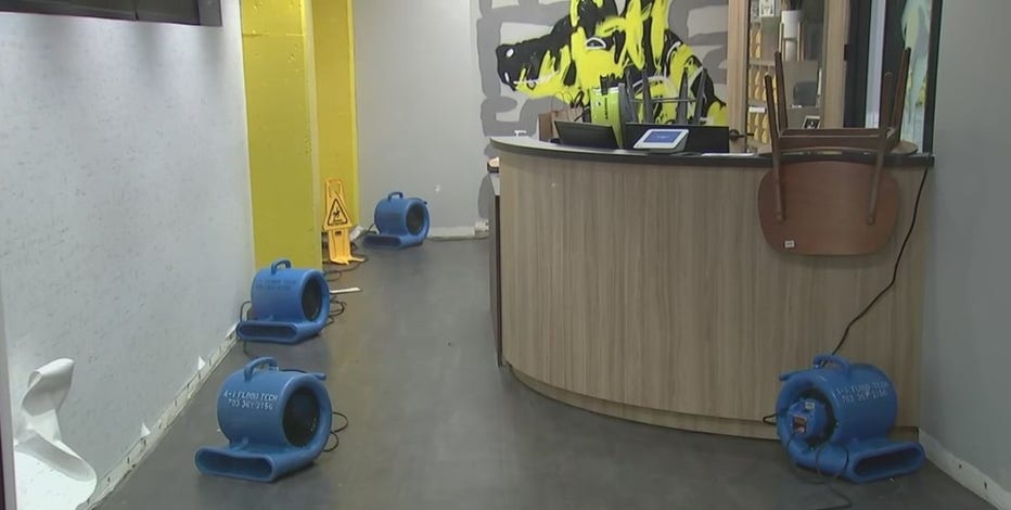 Doggy daycare District Dogs among several businesses flooded in Northeast