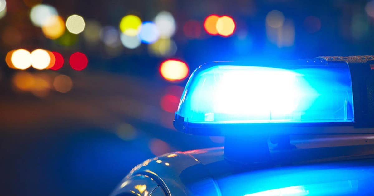 Canadian man sentenced to 10 years after traveling to Virginia to meet minor: prosecutors