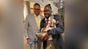 French Bulldog stolen from Georgetown hotel reunited with owner; Search for suspect continues