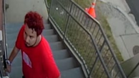 Redhead suspect accused of stealing DC police cruiser