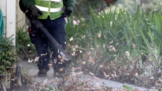 Bill to ban gas-powered leaf blowers tabled in Montgomery County