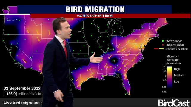 Weather radars capture birds taking to the skies and migrating to warmer climates