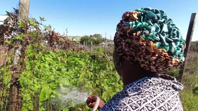 People’s Garden movement aims to educate, encourage others to grown own food