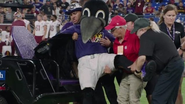 Ravens mascot Poe suffers serious drumstick injury, team searching for replacement