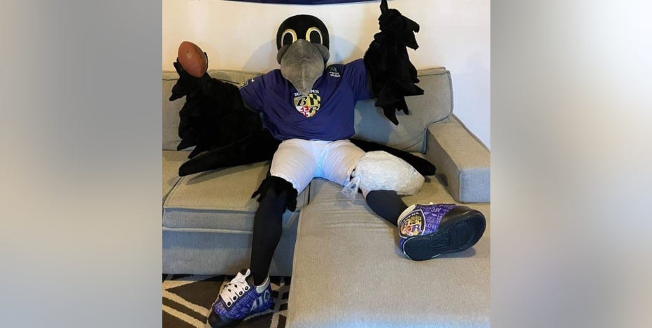 Ravens announce replacement mascots for Poe