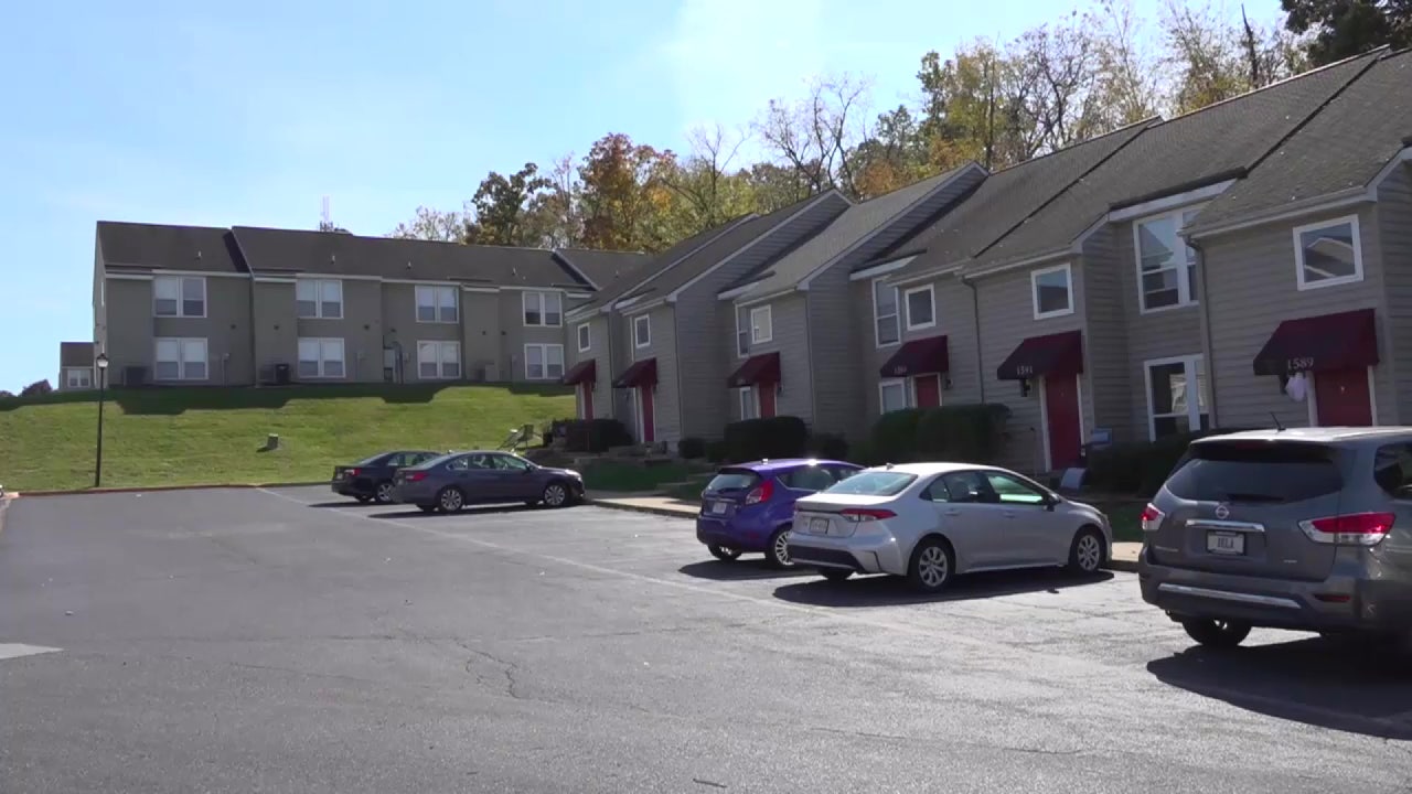 8 injured after shooting at outside gathering in Virginia - Vimarsana News