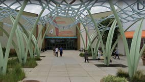 Man accidentally fires gun inside Arundel Mills Mall food court, police say