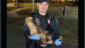 Stolen otter statue returned to downtown Fredericksburg