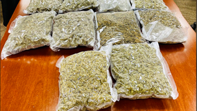 Dulles CBP intercepts 10 pounds of marijuana