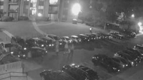 New surveillance video shows 5 people carjacking a man in Aspen Hill