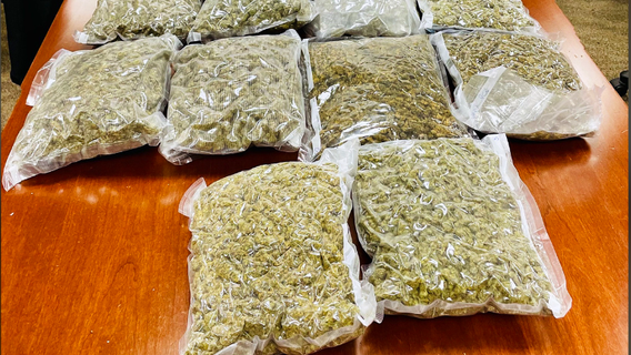 Dulles CBP intercepts 10 pounds of marijuana