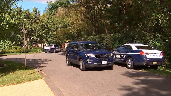 Child seriously injured after being accidentally shot with pellet gun in McLean