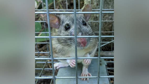 Harpers Ferry wildlife officials rediscover species last seen 20 years ago