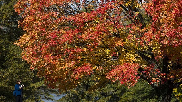 This Maryland road is one of the best to see fall foliage in the US