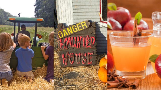 What's happening in the D.C. area this weekend to celebrate the fall season