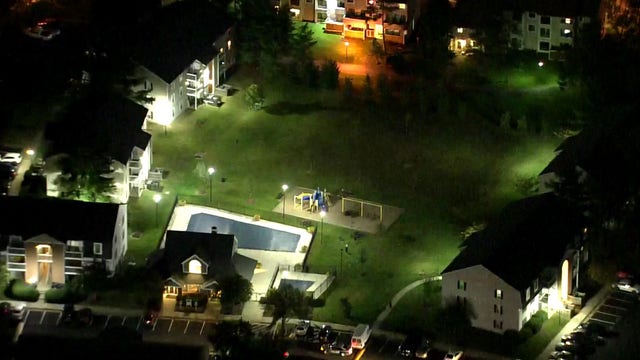 Child assaulted by two other juveniles at Alexandria playground