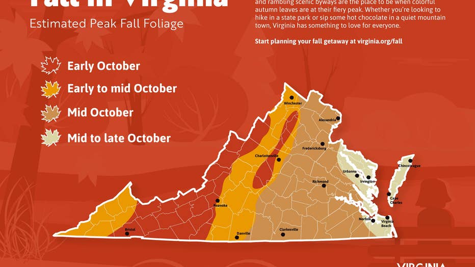 Fall Foliage 2022 The best places to visit in Maryland, Virginia