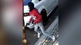 15-year-old arrested in Brian Robinson Jr. shooting also connected to DC teen's murder