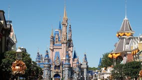 18% of Disney park goers rack up debt, but most have no regrets, survey reveals