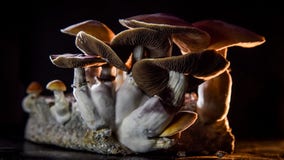 Synthetic 'magic mushroom' drug may ease depression in hard-to-treat patients, study says