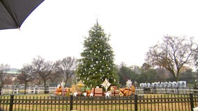 What to do for fun this holiday season in Washington, D.C.