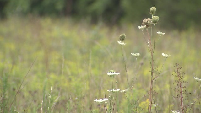 Prince William County data centers plan sparks controversy among residents, leaders