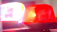 1 dead, 2 injured after hit-and-run on police vehicle sparks pursuit: officials