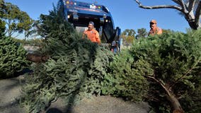 Christmas Tree Recycling: What to know and where to go in the DC region