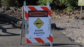 Second shark attack reported in Hawaii days after woman disappeared while snorkeling