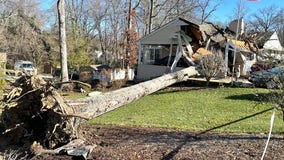 Tree crushes home in Laurel, 1 woman injured: police