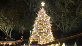 President Biden, LL Cool J light National Christmas Tree