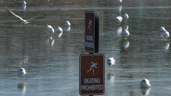 Reflecting Pool freezes over, but remember – ice skating is not allowed