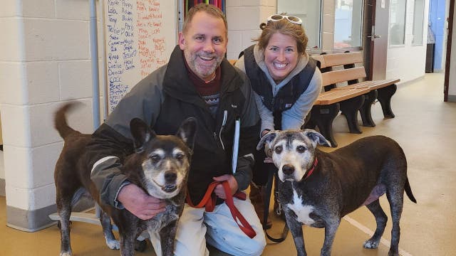 Senior dogs find forever home in Alexandria after forming lifelong bond