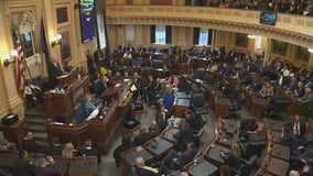 Virginia Senate thwarts GOP voting measures, postpones key constitutional changes